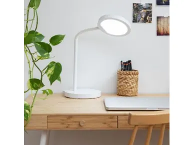 6435200282446_1 kuva