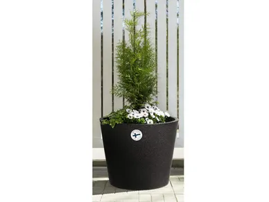 6410412763907_1 kuva