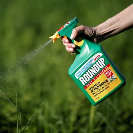 ROUNDUP KUVA