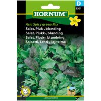 Hornum Salaatti Lehti- Lajitelma Asia Spicy Green Mix